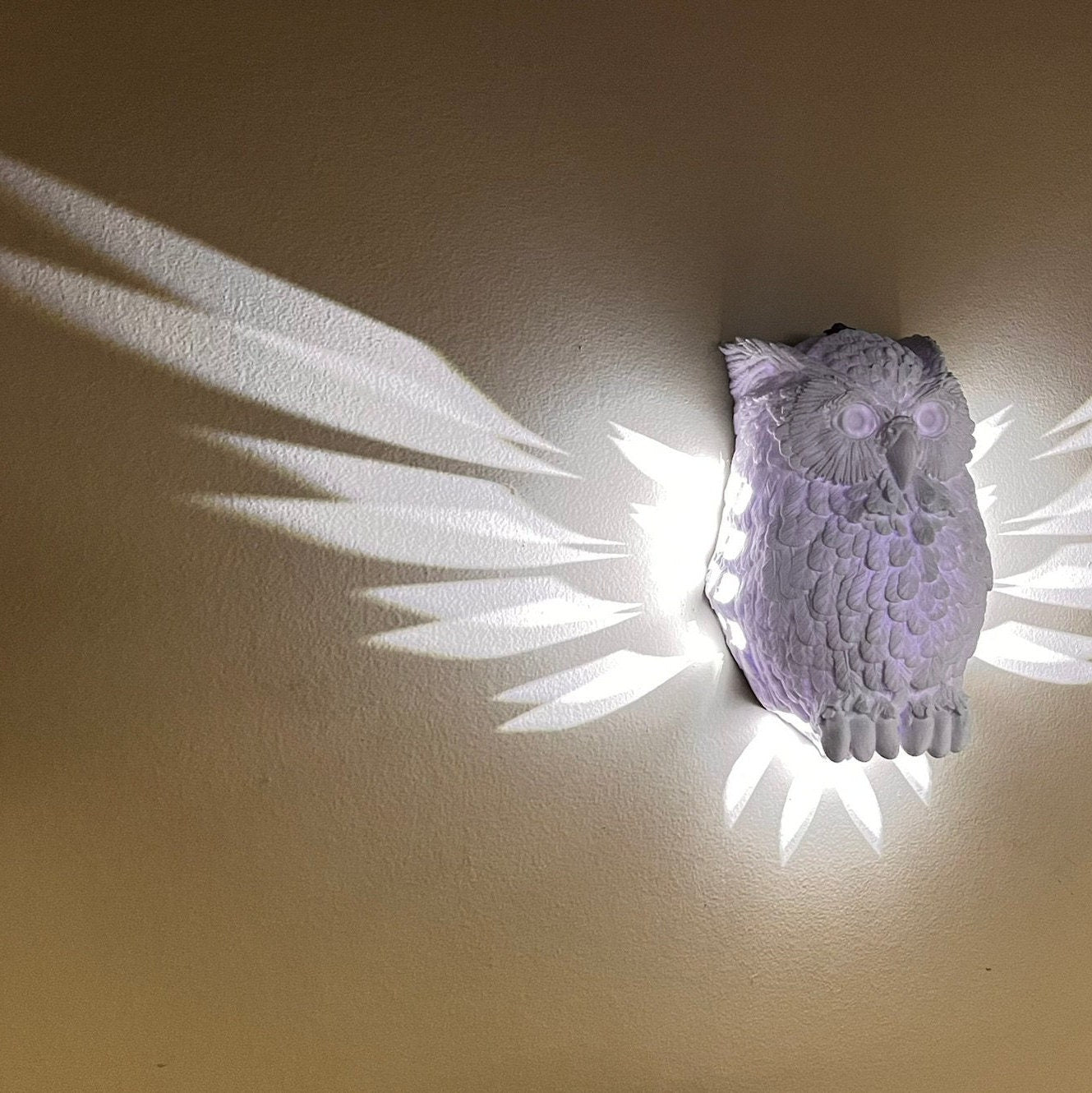 Day Owl Wall Light