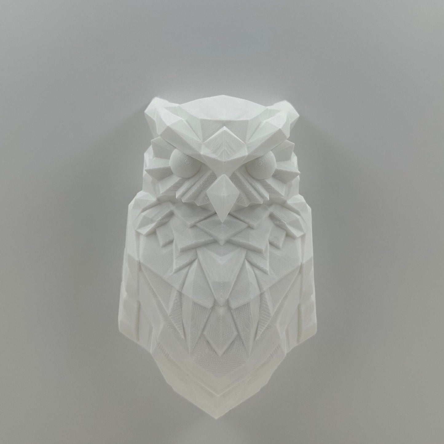 Night Owl Wall Light
