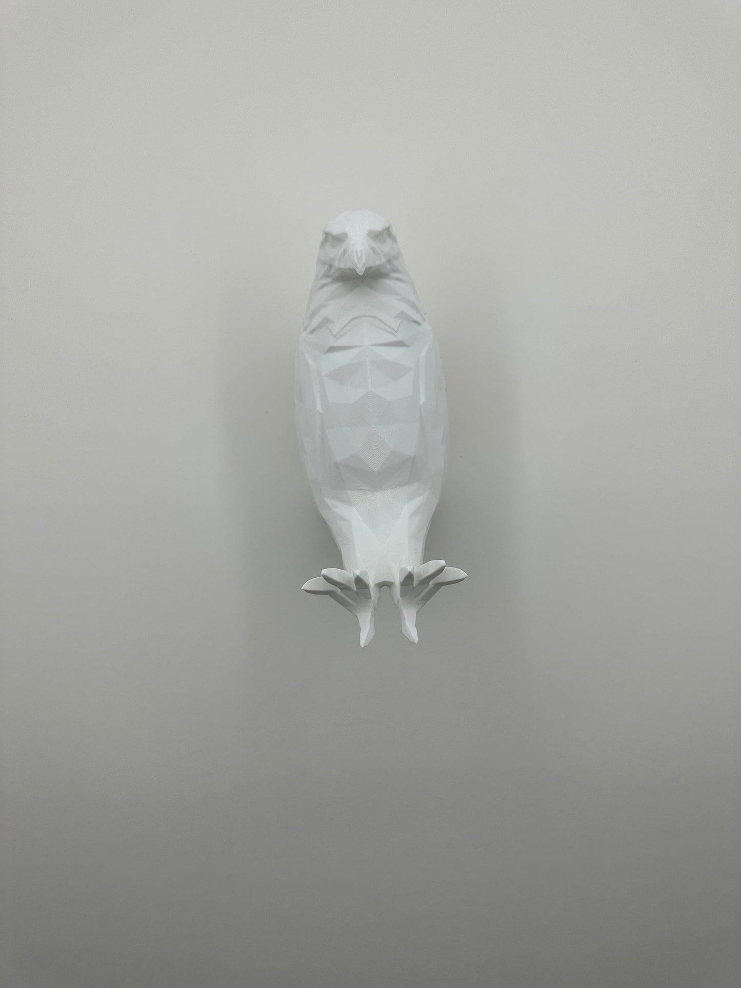 Bald Eagle Wall Light
