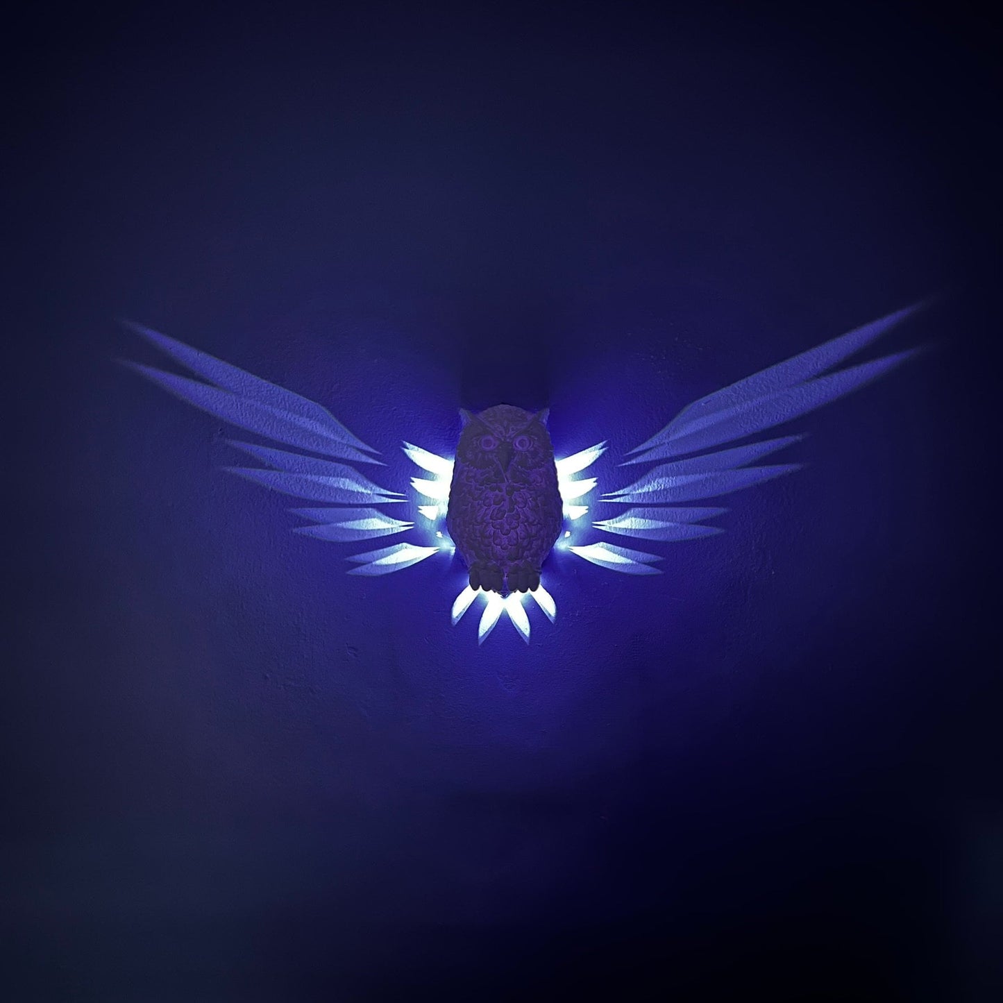 Day Owl Wall Light