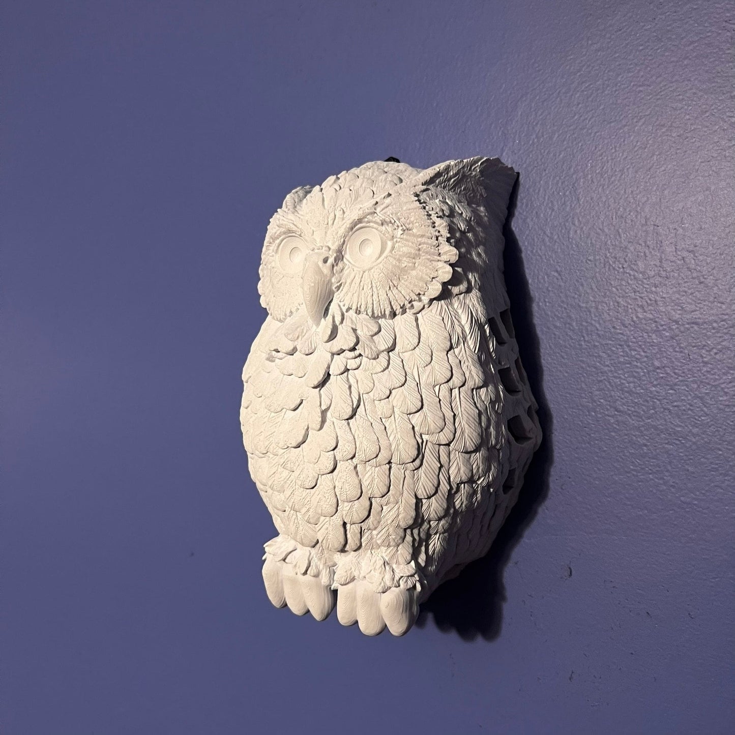 Day Owl Wall Light