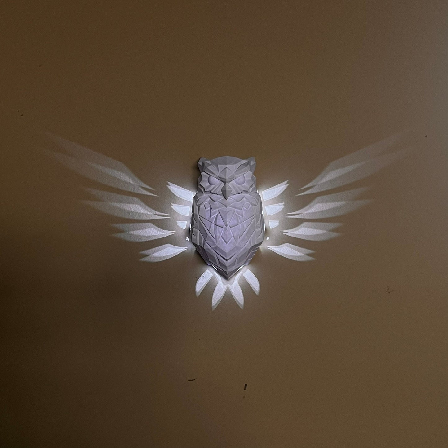 Night Owl Wall Light