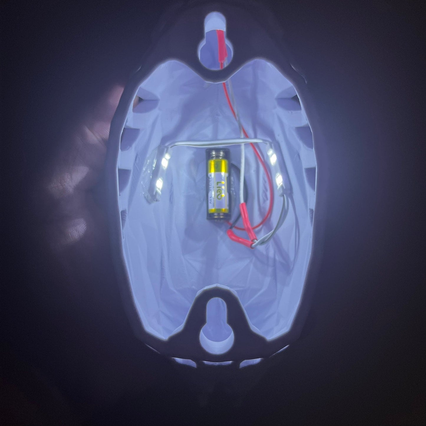 Bald Eagle Wall Light