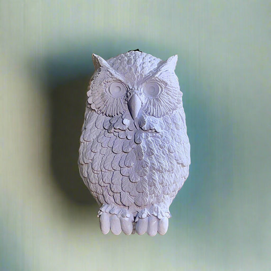 Day Owl Wall Light